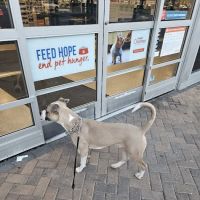 Banfield Pet Hospital ico