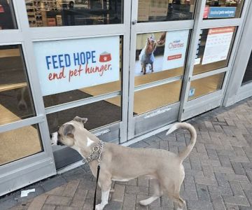 Banfield Pet Hospital