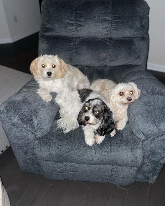 Banfield Pet Hospital 6