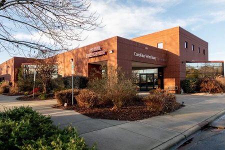 Carolina Veterinary Specialists Charlotte