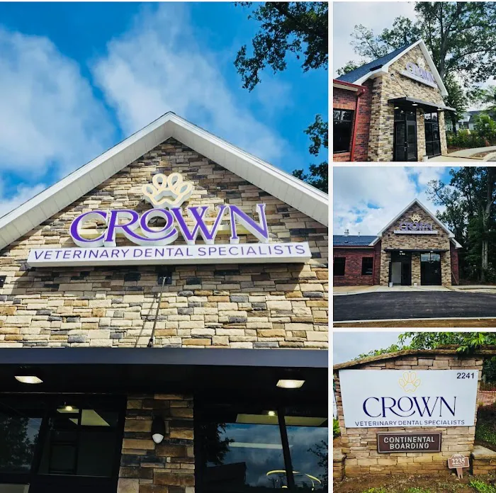 CROWN Veterinary Dental Specialists 2