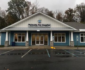 Palmetto Pet Hospital