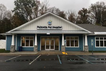 Palmetto Pet Hospital