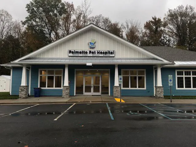 Palmetto Pet Hospital 4