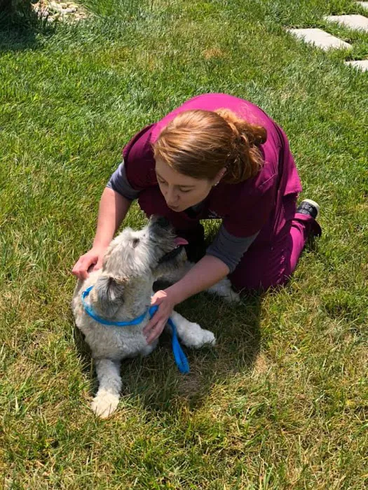 Palmetto Pet Hospital 6