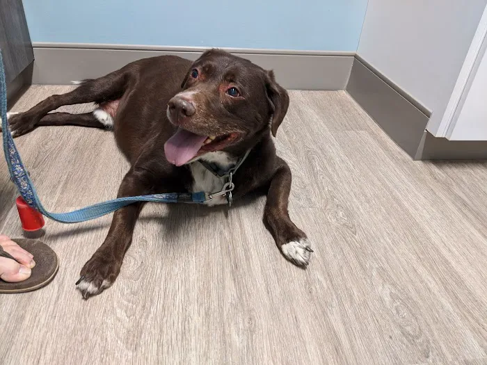 Veterinary Medical Center of Fort Mill 1