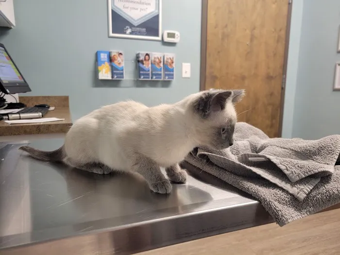 Veterinary Medical Center of Fort Mill 2