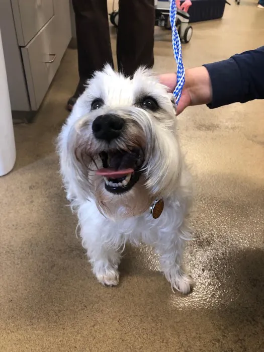 Veterinary Medical Center of Fort Mill 10