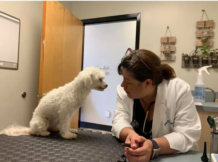 Carolina Integrative Veterinary Hospital - Ryn Marlowe, DVM 3