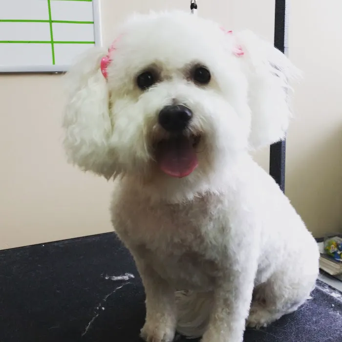 Baxter Veterinary Clinic 12