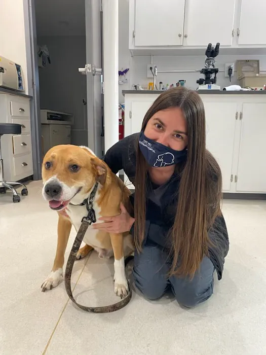 Fort Mill Animal Hospital 3