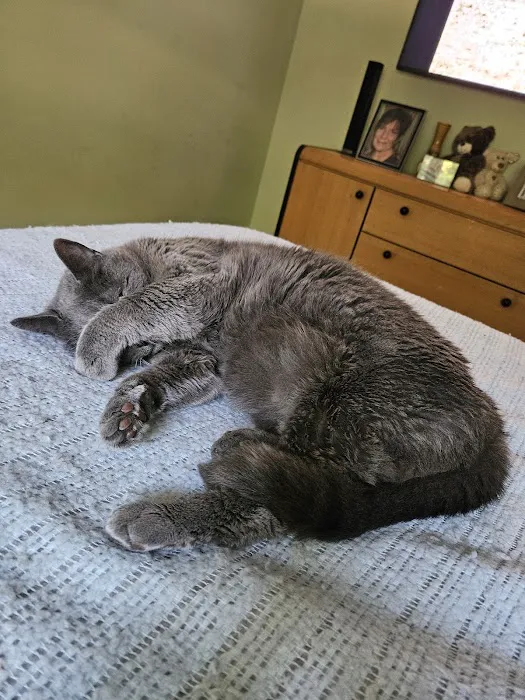 Fort Mill Animal Hospital 8