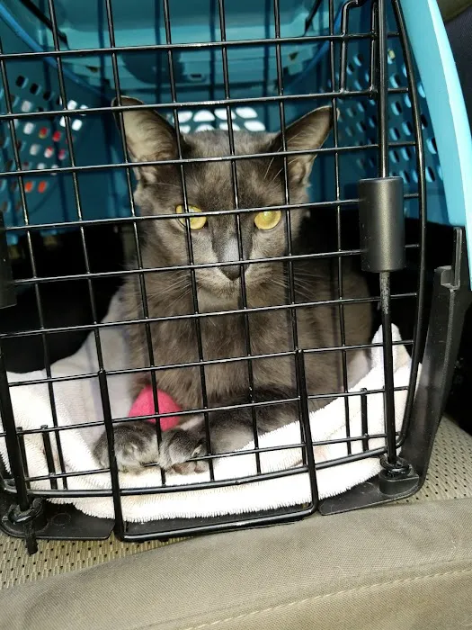 Tega Cay Veterinarian 12