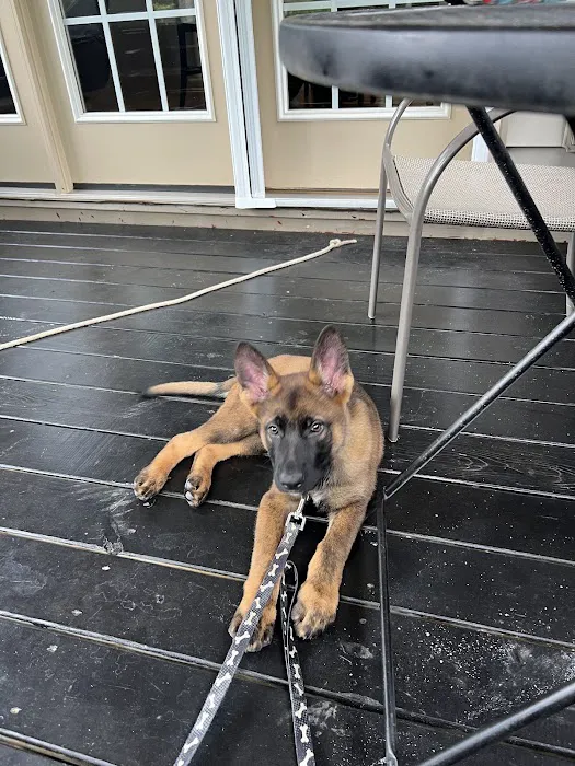 Tega Cay Veterinarian 12
