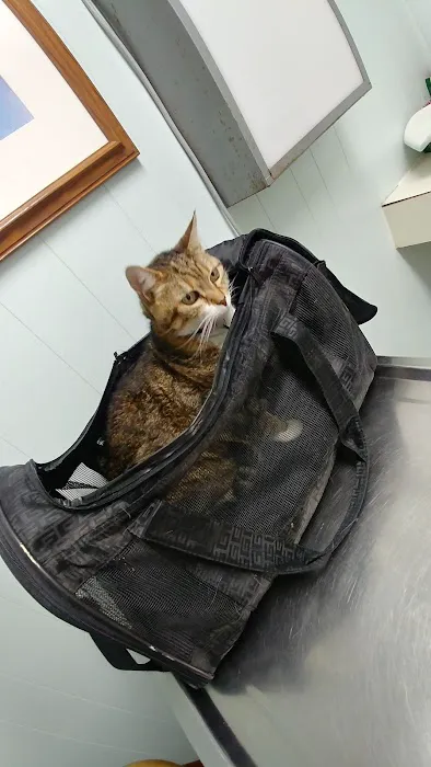 Tega Cay Veterinarian 12
