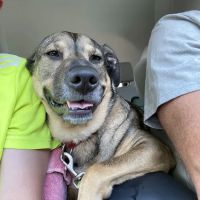 Elmbrook Veterinary Clinic ico
