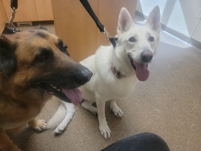 Elmbrook Veterinary Clinic 4