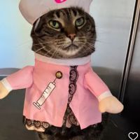 Care Animal Clinic: Jill Kusba, DVM, MS, CCRT, CVA ico
