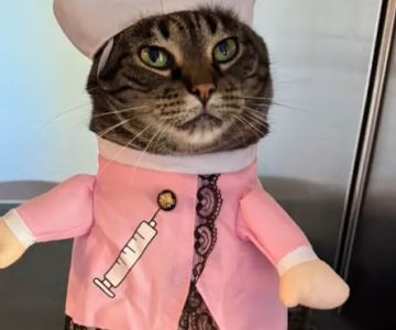 Care Animal Clinic: Jill Kusba, DVM, MS, CCRT, CVA