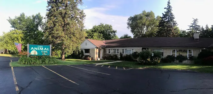 Care Animal Clinic 1