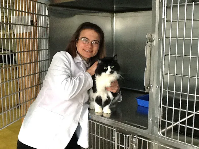 Care Animal Clinic 6