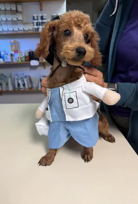Care Animal Clinic 5