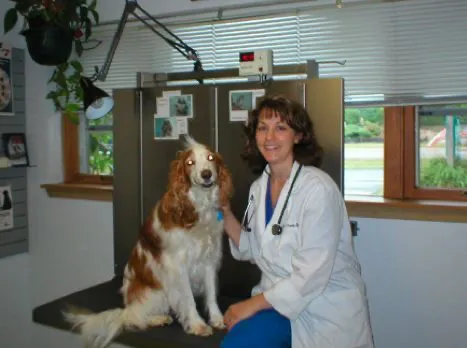 Care Animal Clinic 8