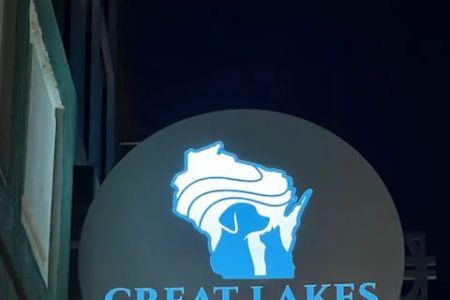 Great Lakes Veterinary Dermatology