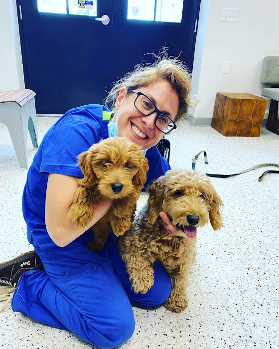 Riverwest Veterinary Clinic 2