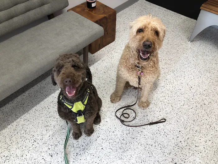 Riverwest Veterinary Clinic 3