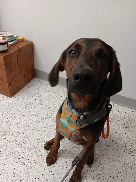 Riverwest Veterinary Clinic 6