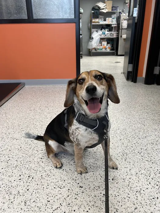 Riverwest Veterinary Clinic 4