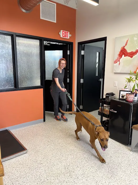 Riverwest Veterinary Clinic 9
