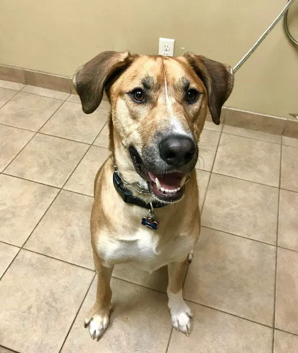 Bayshore Veterinary Clinic 3