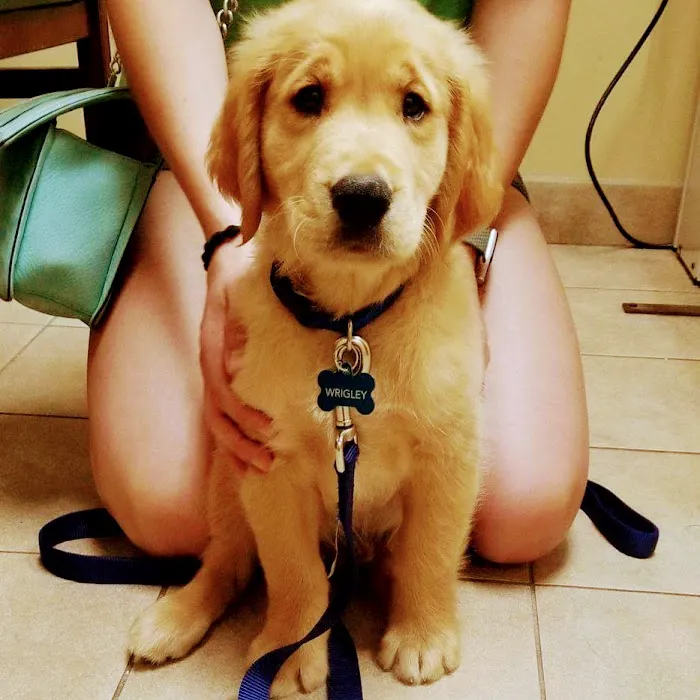 Bayshore Veterinary Clinic 2