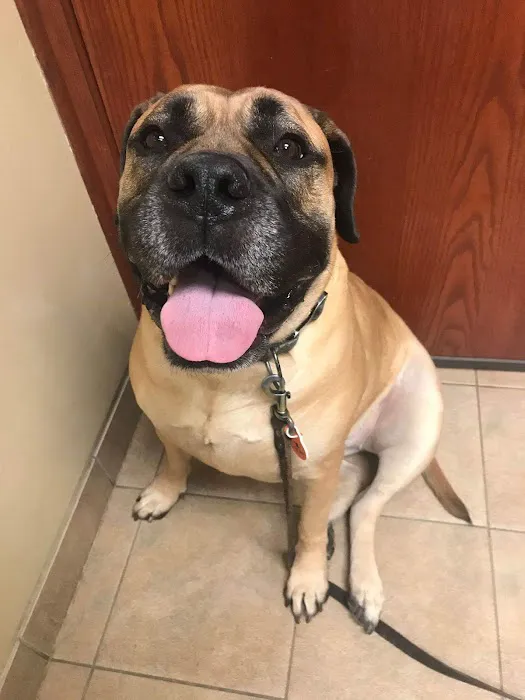 Bayshore Veterinary Clinic 6