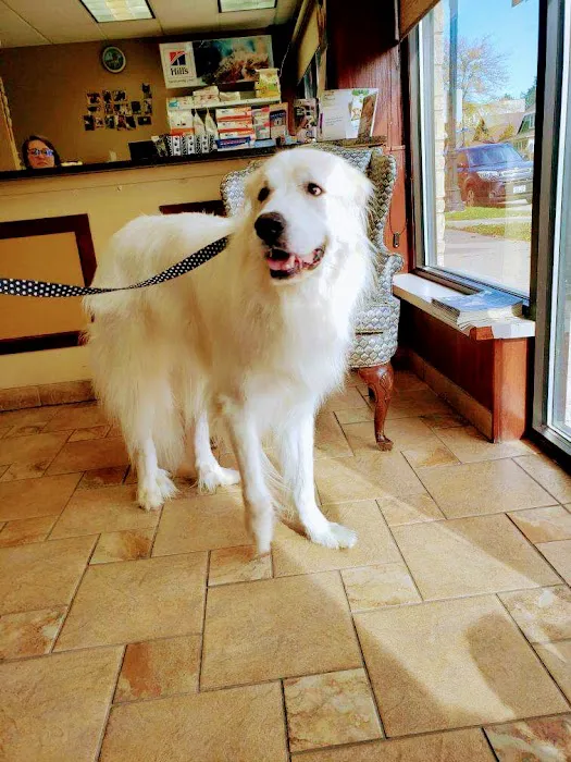 Bayshore Veterinary Clinic 10
