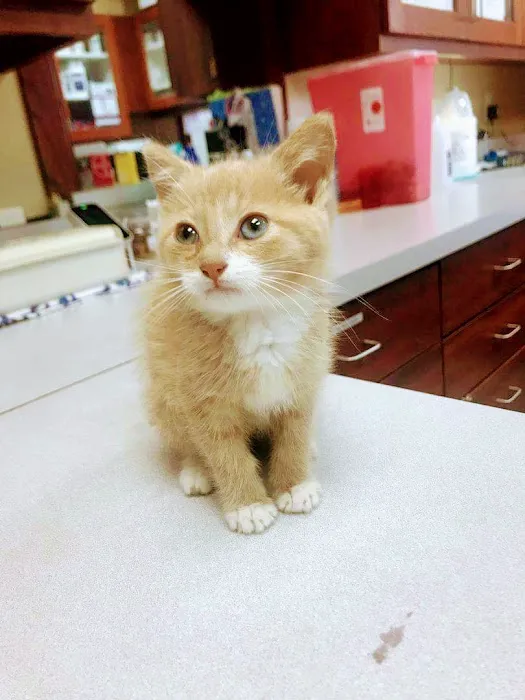 Bayshore Veterinary Clinic 8