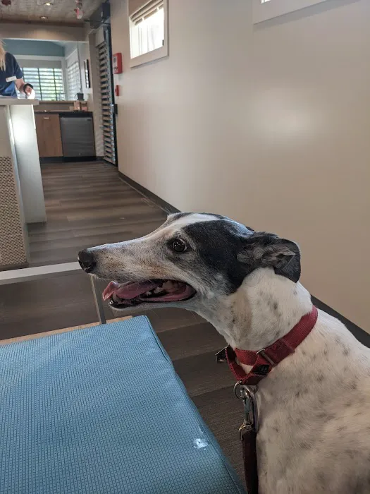 Shorewood Animal Hospital 12