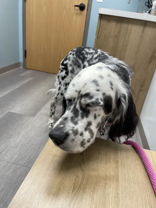Shorewood Animal Hospital 12