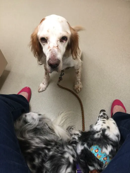 Shorewood Animal Hospital 12