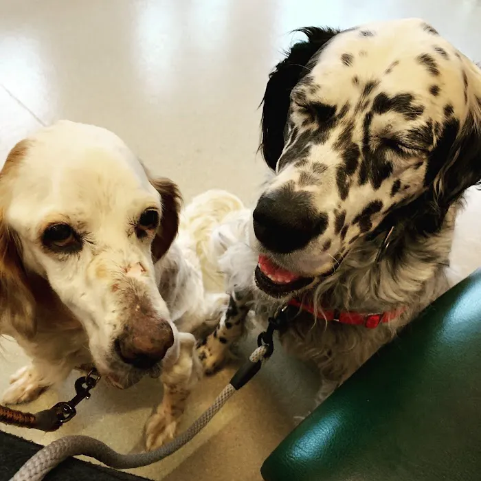 Shorewood Animal Hospital 12