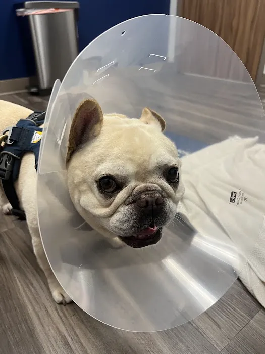 Oak Leaf Veterinary Clinic 12