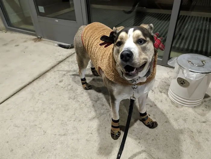 Oak Leaf Veterinary Clinic 12