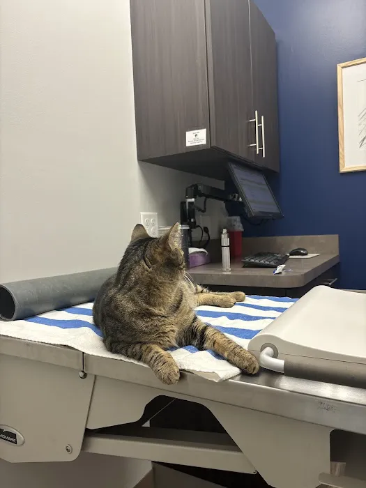Oak Leaf Veterinary Clinic 12