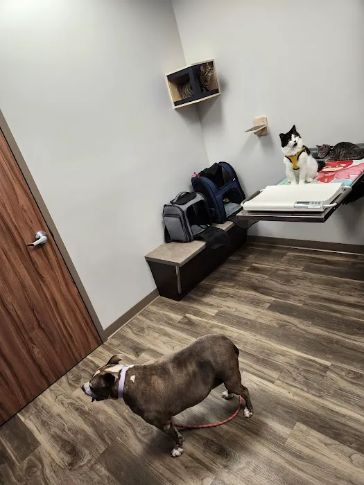 Oak Leaf Veterinary Clinic 12