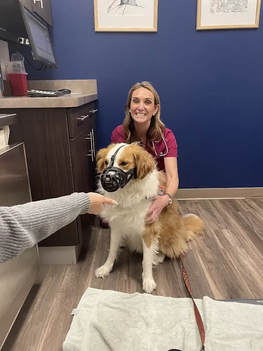 Oak Leaf Veterinary Clinic 12