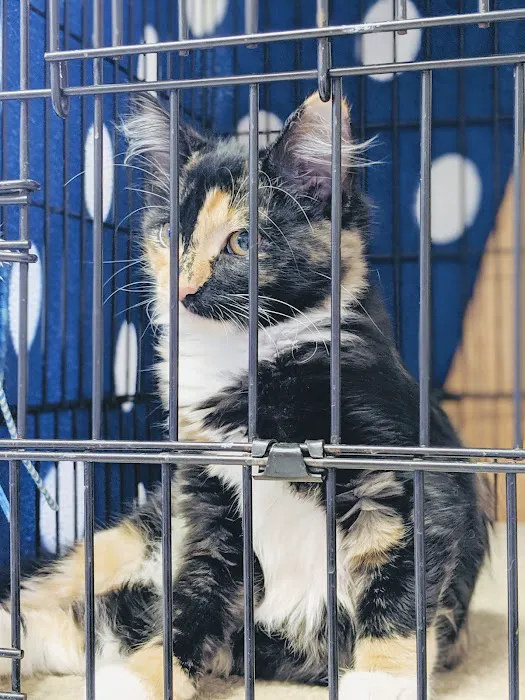 Family Pet Clinic 1