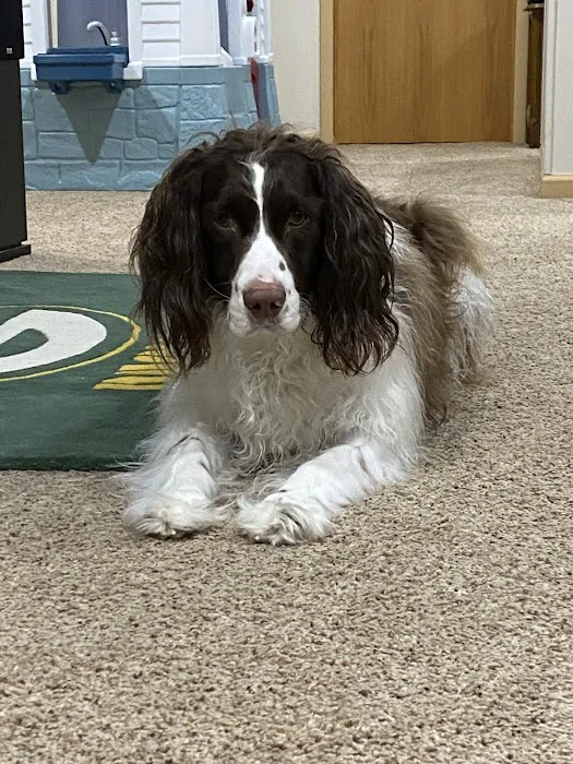 Family Pet Clinic 5