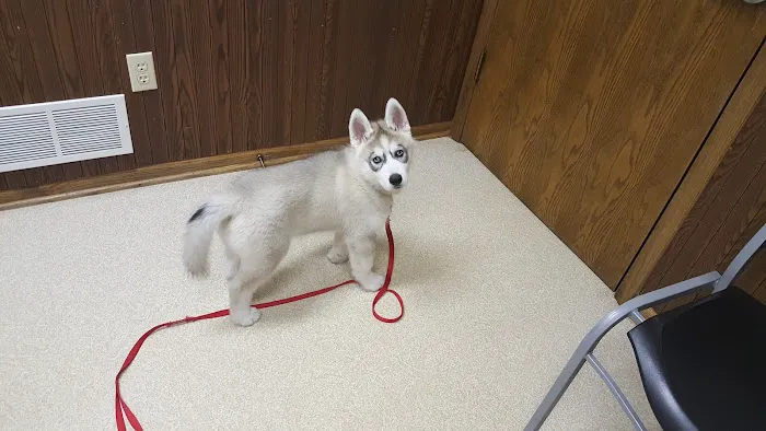 Family Pet Clinic 9